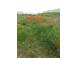 Teren de vanzare slatina 930517 poza 7
